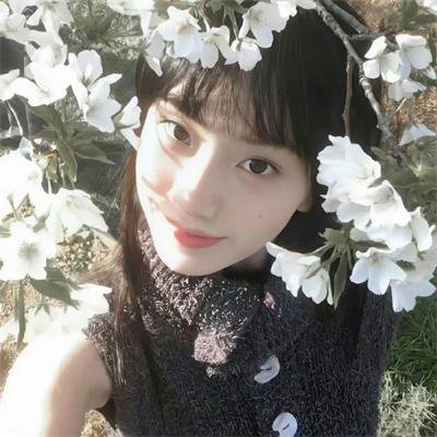 披荆斩棘·海尔之夜